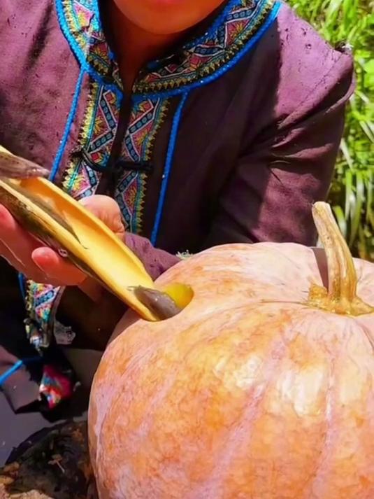 一碗好汤食谱书!彩图详解易上手,科学搭配超实用!