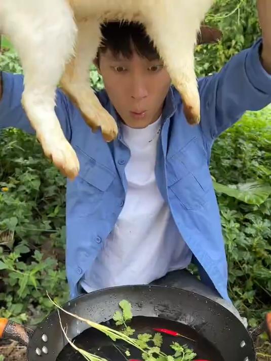 #百家精选集#喜欢吃香菜和兔子的都沉默了