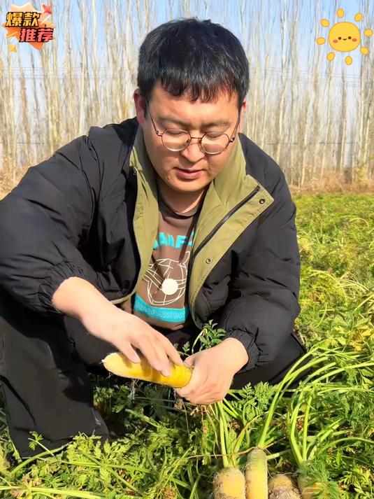 新疆黄萝卜炖肉炒菜都非常不错生吃很脆带着一点甜味 黄萝卜_