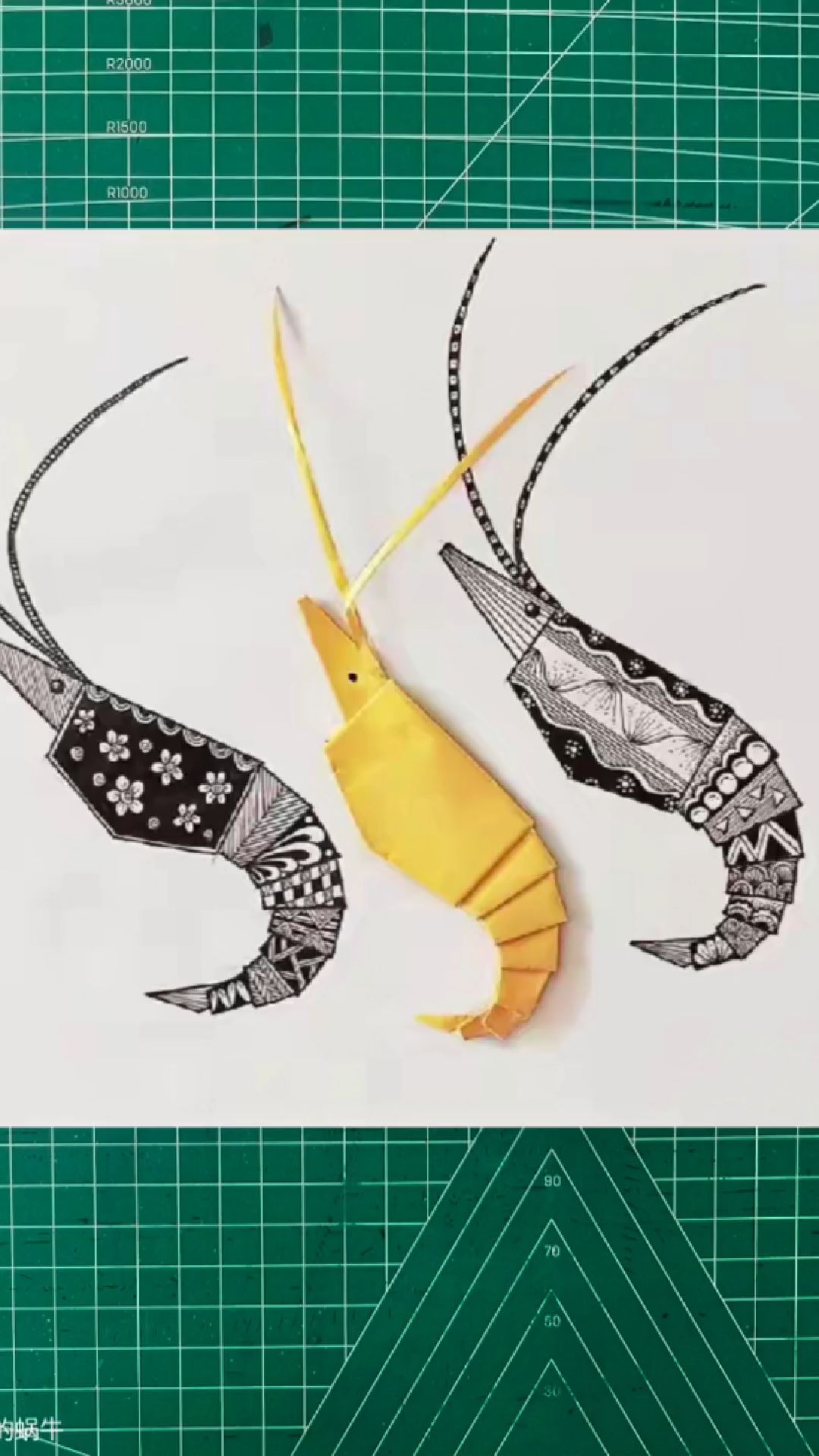 线描小创作《虾》