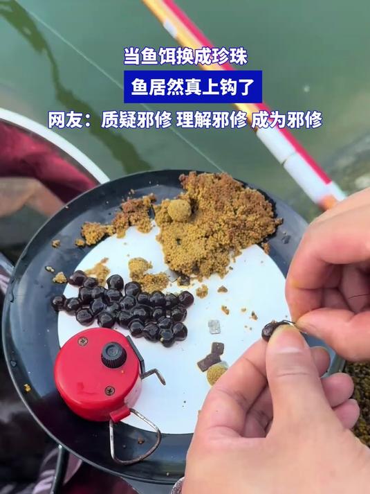 当鱼饵换成珍珠，鱼居然真上钩了