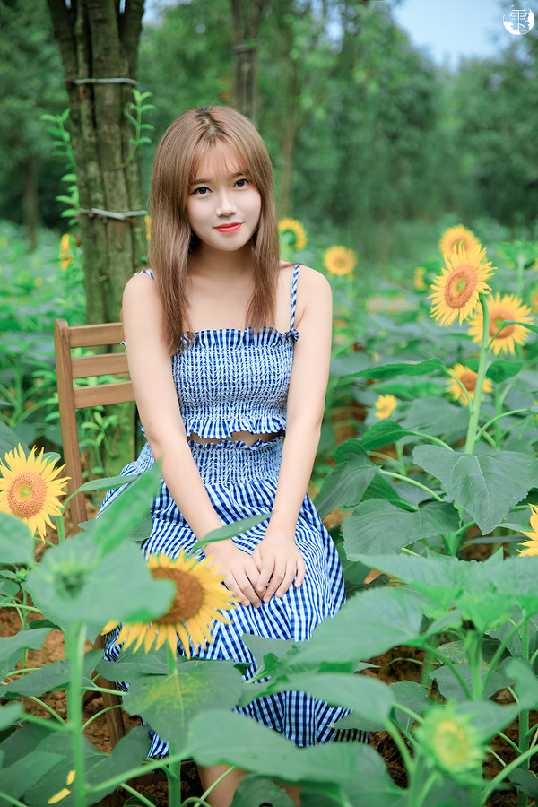 图片[3]-向日葵的少女-六色网