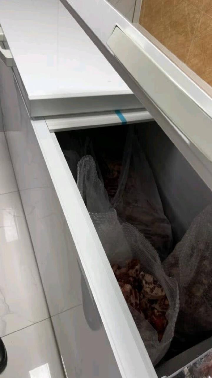 雪贝娜冰柜商用家用卧式冷柜大容量冷藏冷冻双温展示柜 728双温