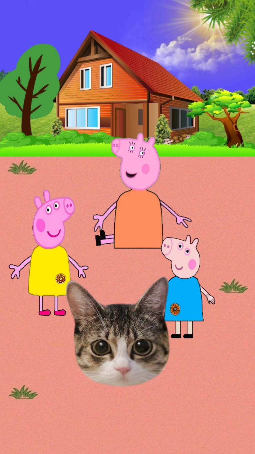 小猫小狗小鸡小鸭