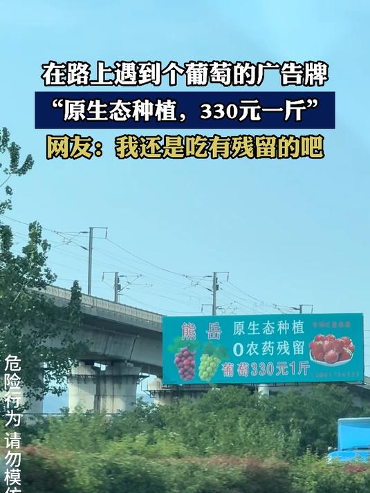 在路上遇到个葡萄的广告牌,“原生态种植,330元一斤”