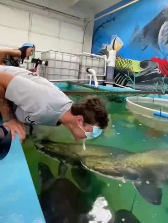 带你认识12种凶猛的鱼类,你见过几种?