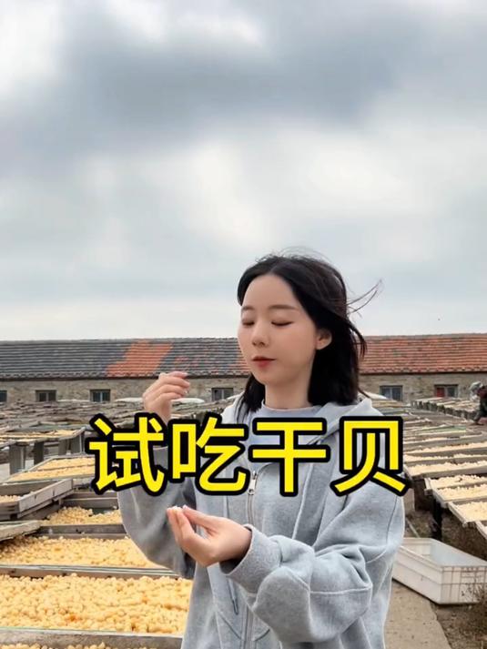 湛江美食瑶柱气血亏都能吃扇贝干货海鲜湛江美食湛江特产