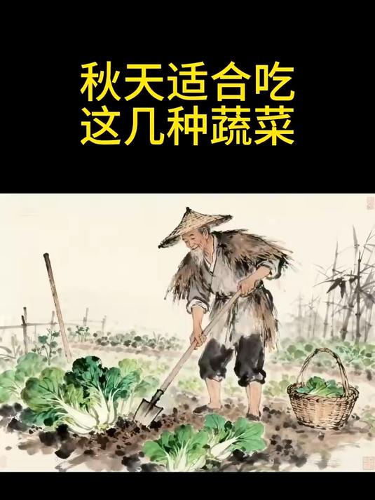 秋天最适合吃的几种蔬菜