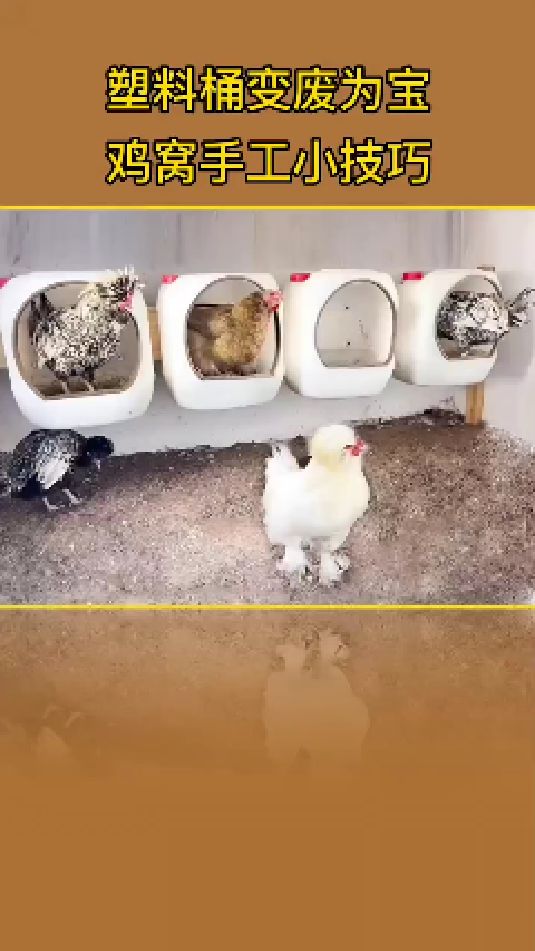 塑料桶改造小鸡窝