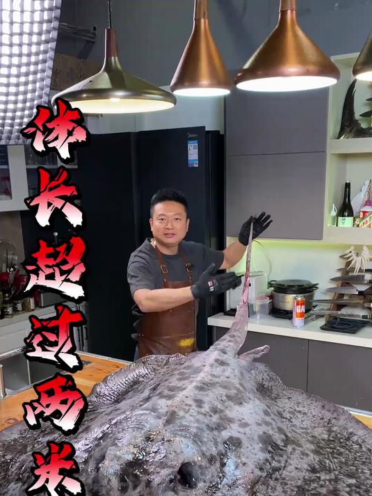 斤巨型黑斑条尾魟,20多斤的鱼肝尝尝刺身如何