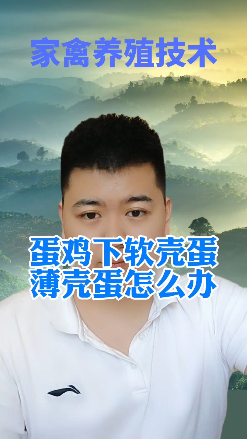 #鸡蛋是软壳的是怎么回事鸡下蛋软壳怎么回事鸡下蛋是软的是怎么回事开产