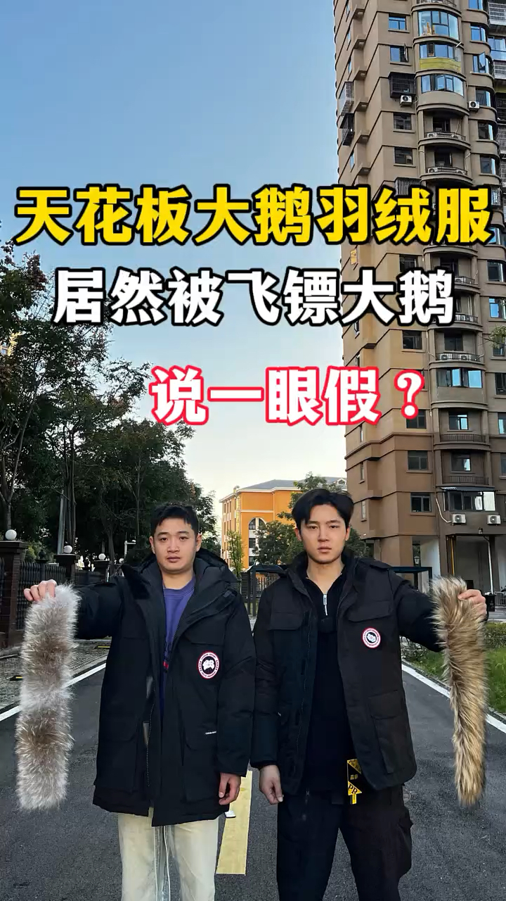 天花板的大鹅羽绒服,居然被飞镖大鹅说一眼假?