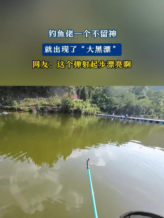 钓鱼佬一个不留神,就出现了“大黑漂”,网友:这个弹射起步漂亮