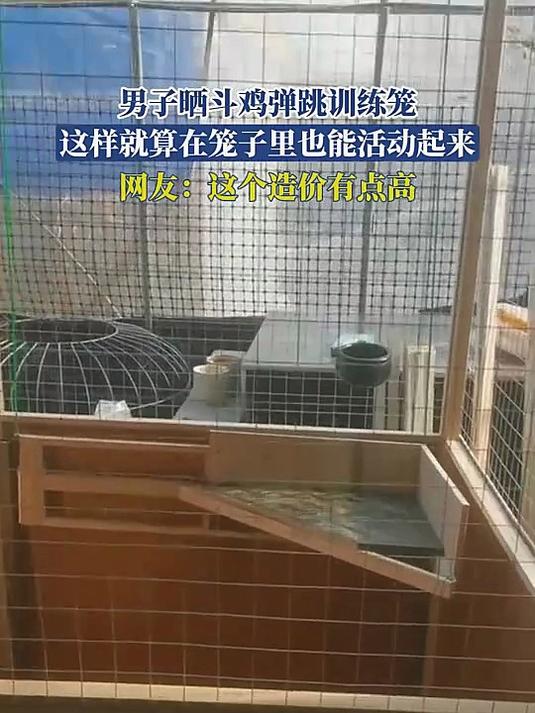 男子晒斗鸡弹跳训练笼,这样就算在笼子里也能活动起来