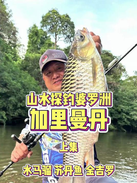 山水探钓婆罗洲加里曼丹上集!水马骝苏丹鱼金吉罗!