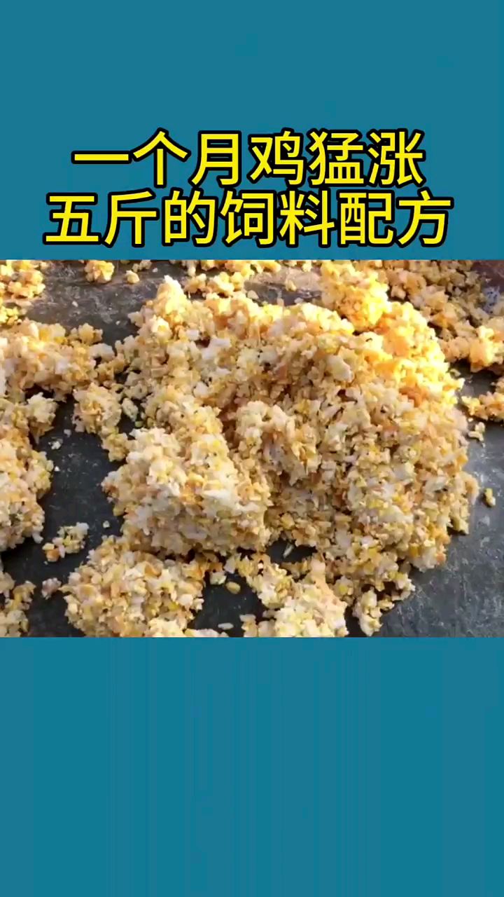 一个月鸡猛涨的饲料配方