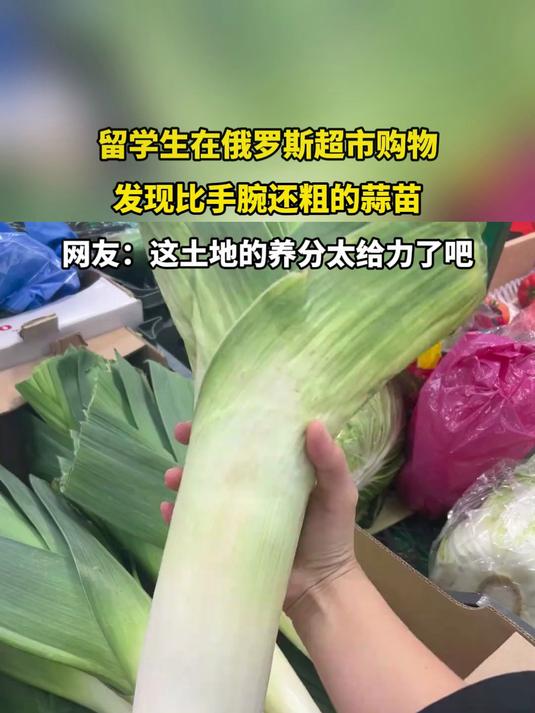 留学生在俄罗斯超市购物,发现比手腕还粗的蒜苗