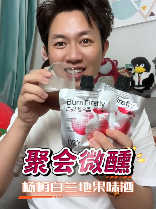 聚会微醺!杨梅白兰地果味酒也太合适了!