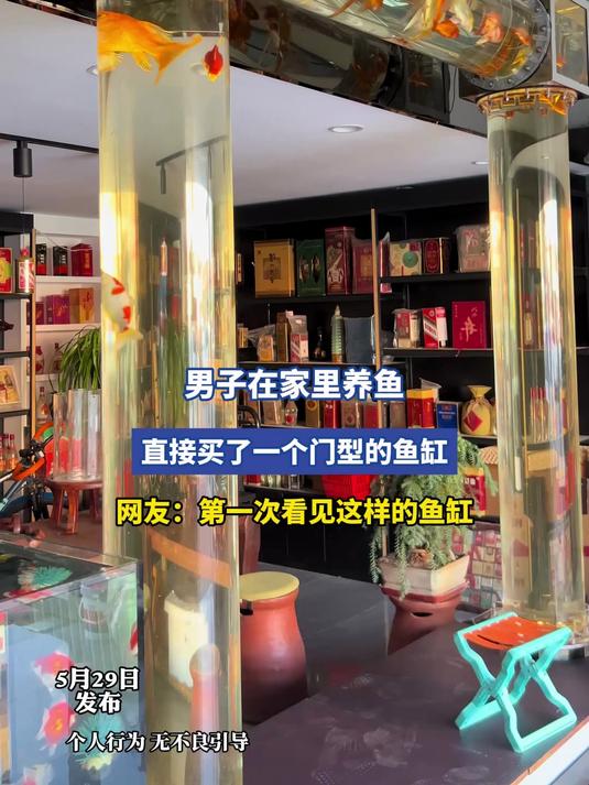 男子在家里养鱼，直接买了一个门型的鱼缸，网友：第一次看见这样的鱼缸#宝藏城市漫游记#
