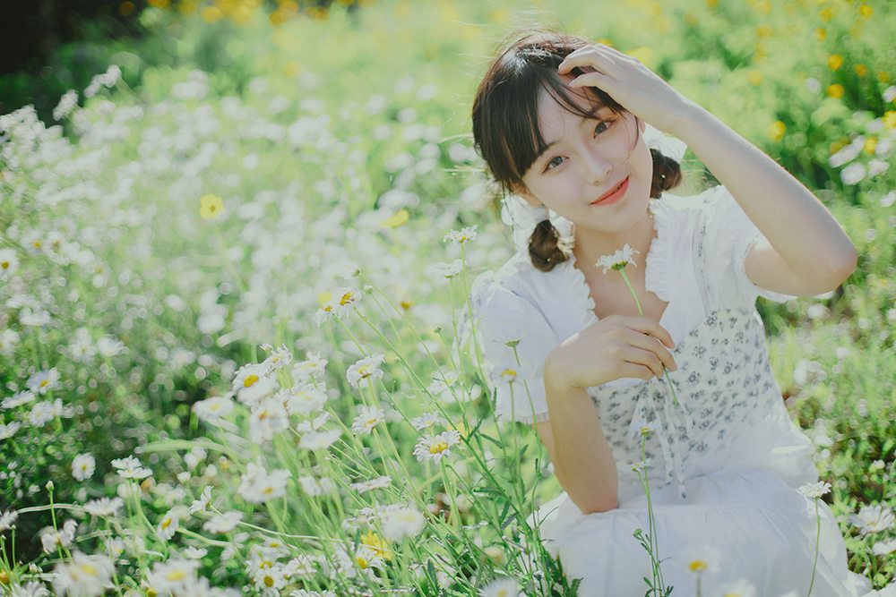 图片[4]-初夏の小雏菊Ⅱ-六色网