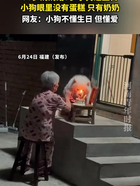 90岁奶奶给9岁小狗过生日，小狗眼里没有蛋糕，只有奶奶