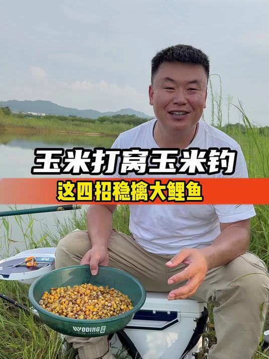 玉米打窝玉米钓,掌握这四招稳擒大鲤鱼