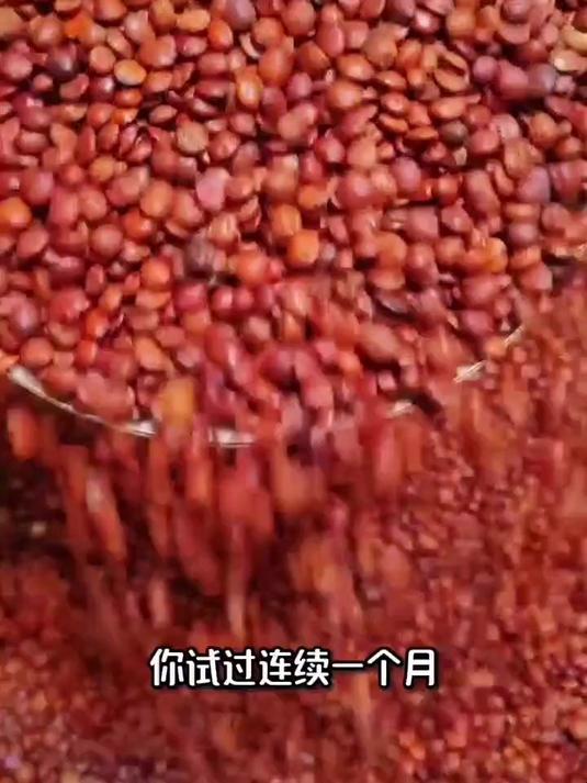 酸枣仁