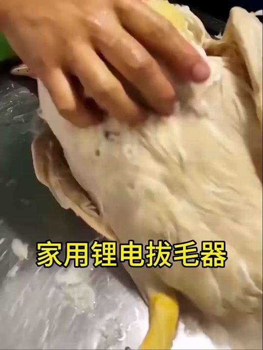 手工拔毛又累又慢?电动拔毛神器,省时省力拔净毛