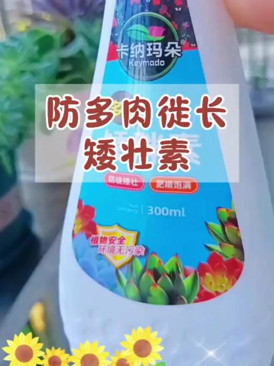 多肉颜色不鲜艳还徒长?矮壮素帮大忙,养肉人都爱用!