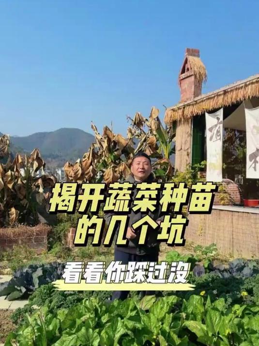 揭开蔬菜种苗里面的几个坑 买苗不如育苗，靠人不如靠己