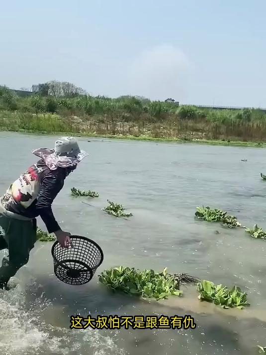 大叔扑鱼简直太过瘾了