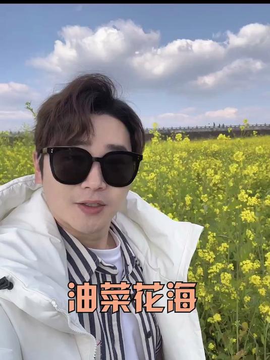 油菜花拍照 油菜花