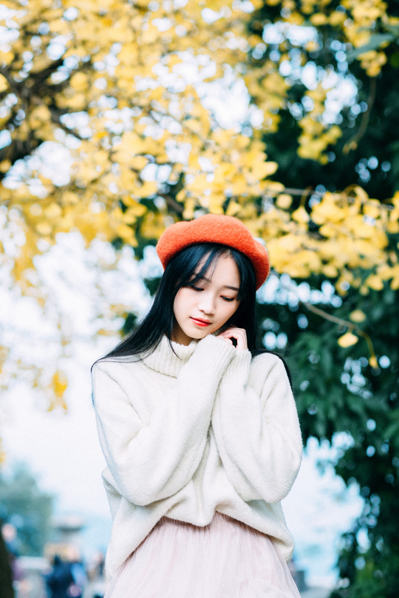 图片[2]-银杏-六色网