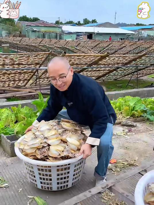 天气冷了可以多喝墨鱼干煲汤哦z
