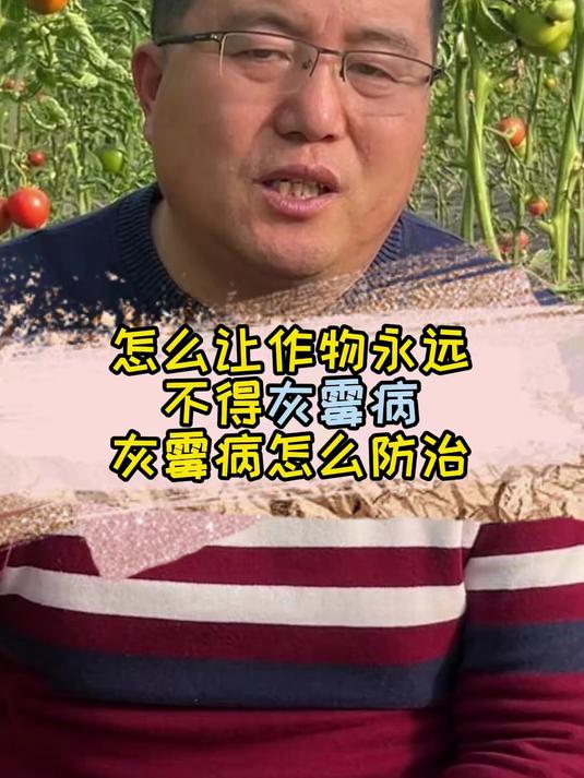 怎么让作物永远不得灰霉病,灰霉病怎么防治,最全灰霉病讲解