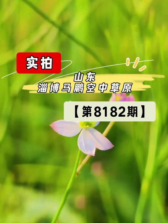 美景视频随拍,山东淄博马鹏空中草原实拍!(第8182期)
