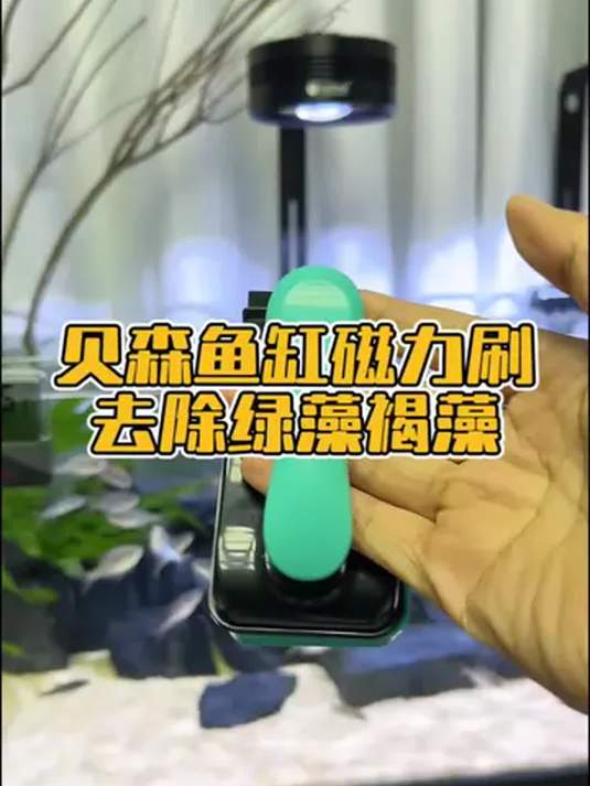 强磁力鱼缸清洁刷 实测超好用 藻类水垢轻松除