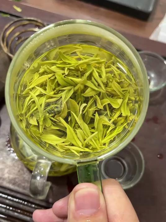 谢西坑头采的高山白茶开汤,颜色黄白色的,香气很高