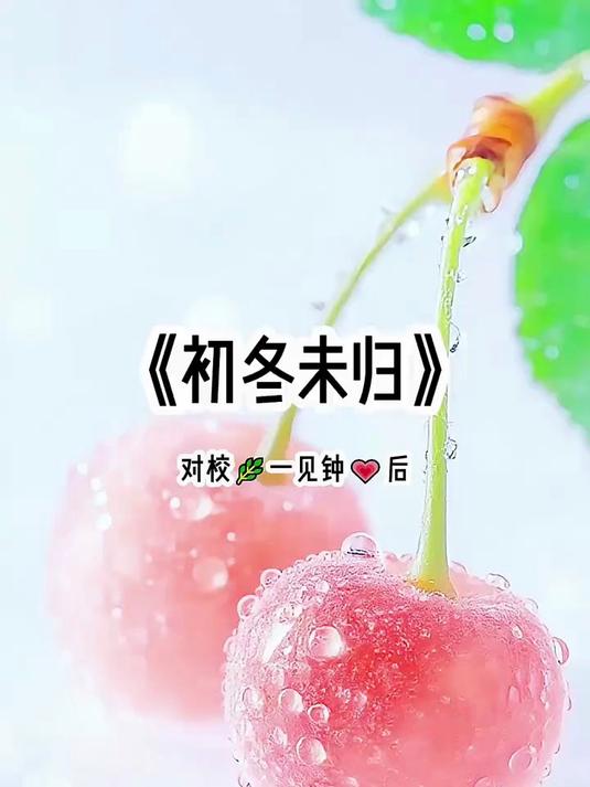 《初冬未归》#超爆小故事 #小说推荐# #女生爱看 #二次元