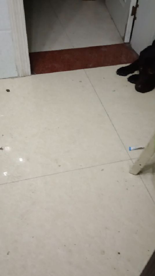 多财财要吃红糖馒头