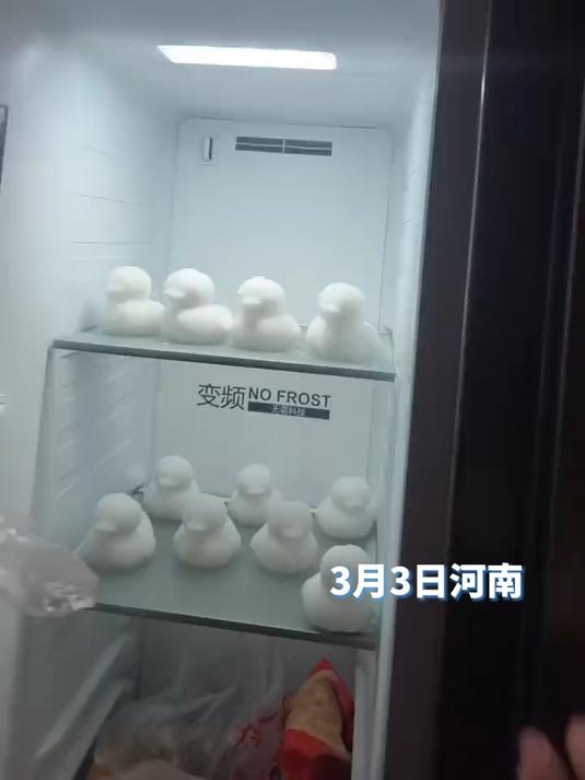 小女孩将雪鸭子放进冰箱里排排站,网友:来一锅铁锅炖雪鸭