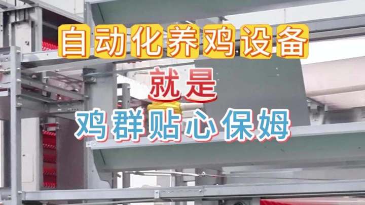 自动化养鸡设备源头工厂