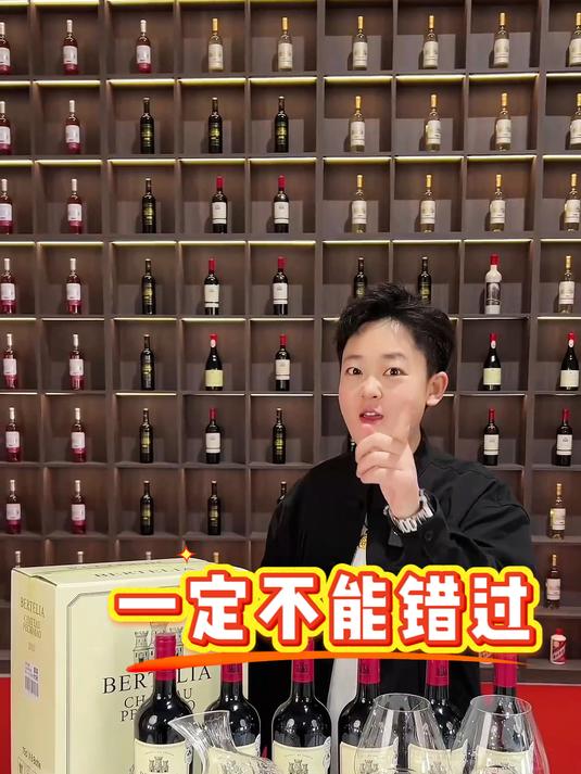 6瓶法国原瓶进口AOP等级干红,再赠实用酒具,好喝不贵别错过