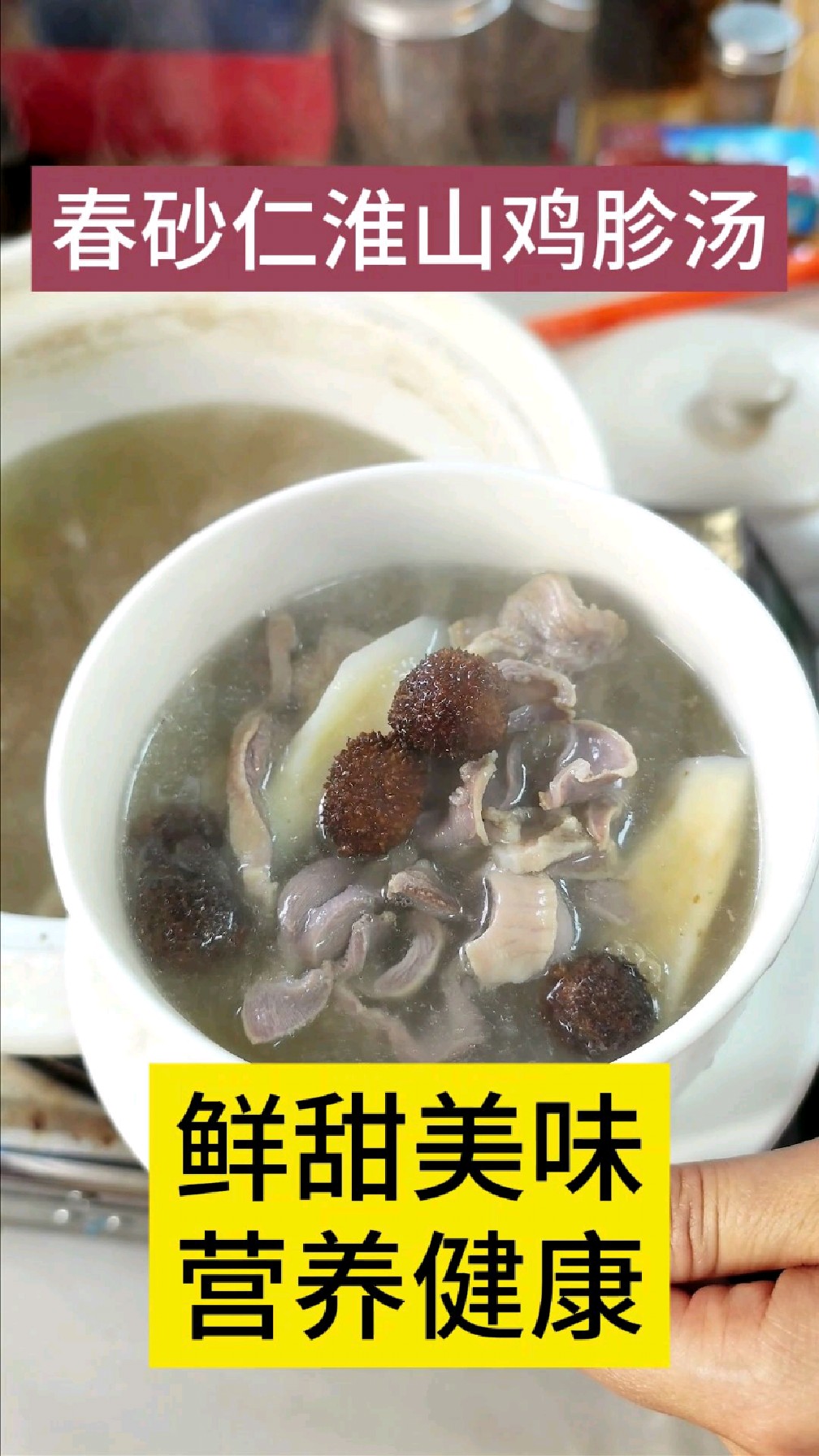 每日靓汤推荐—春砂仁淮山瘦肉鸡胗汤