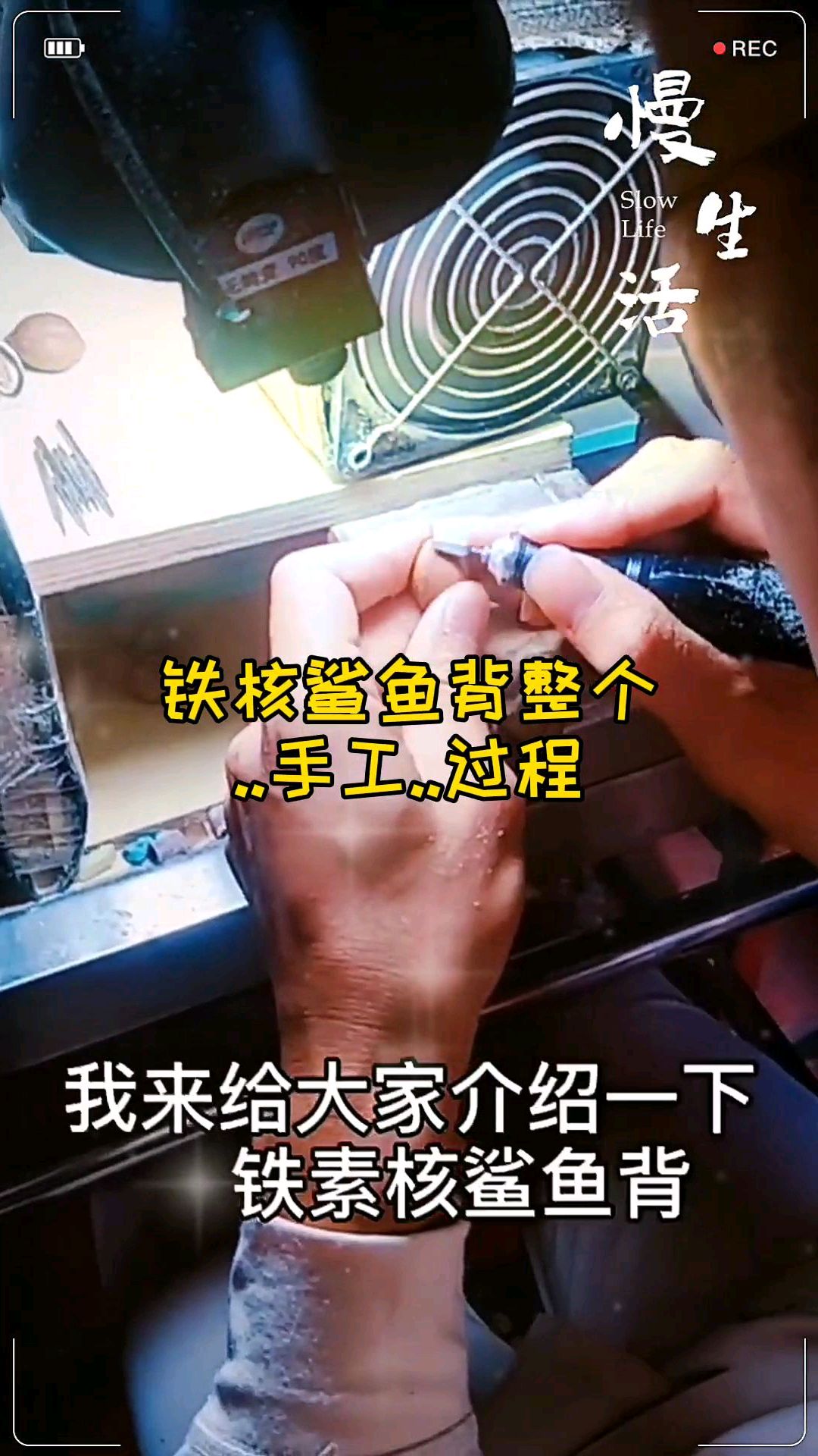 了解核雕知识,铁核鲨鱼背的整个打磨过程(内含讲解,精彩绝伦)