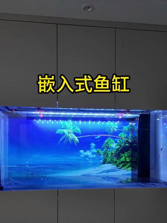 这是一条预谋半年多的视频,嵌入式鱼缸终于落地了