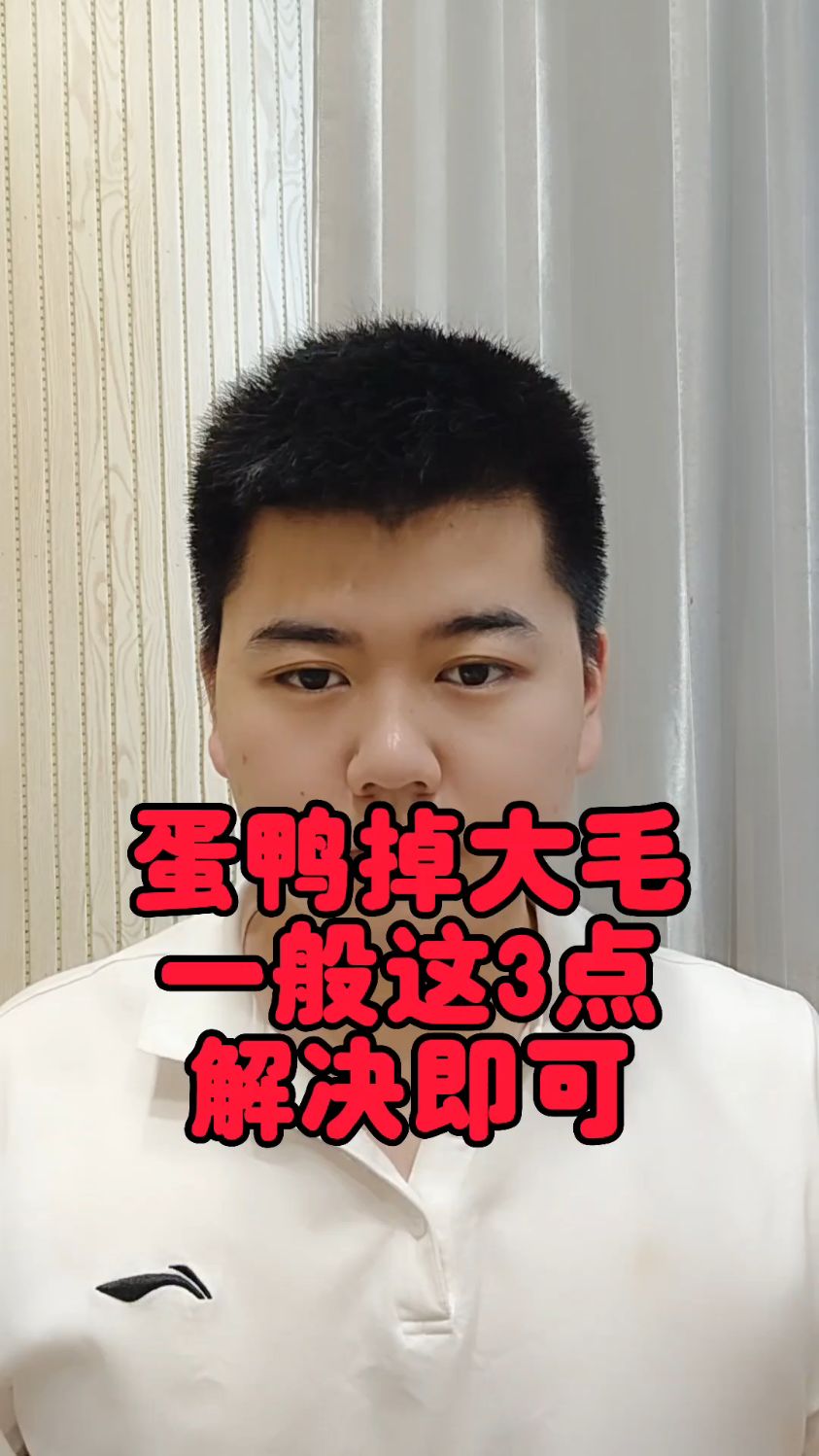 #鸭子掉大毛是怎么回事鸭子掉大毛是怎么回事鸭子掉毛严重怎么办鸭子掉大毛是怎么回事