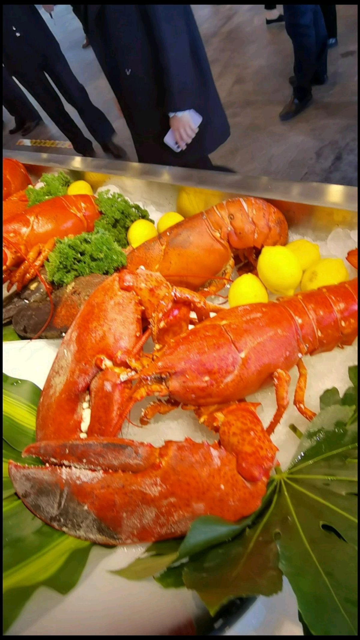 大连15库的龙虾节,好大的龙虾哦