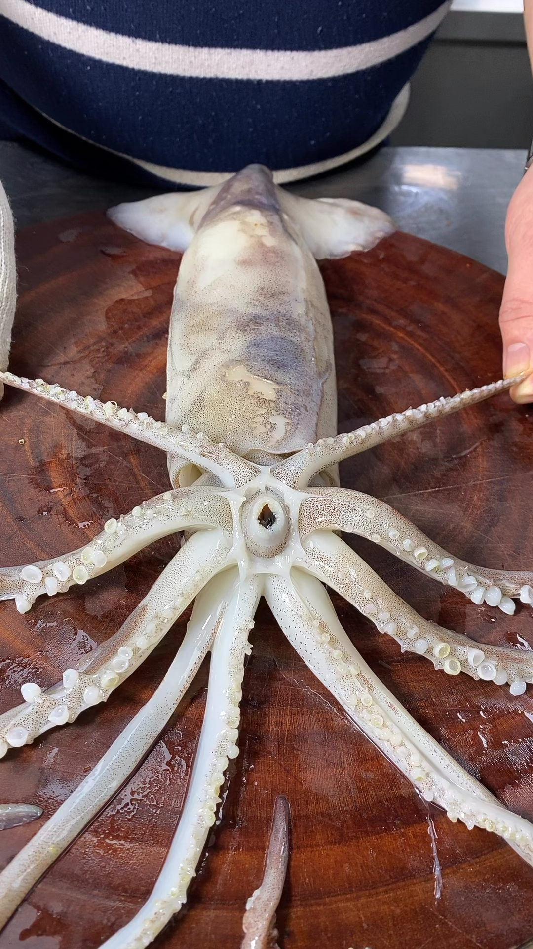 碳烤阿根庭大尤鱼