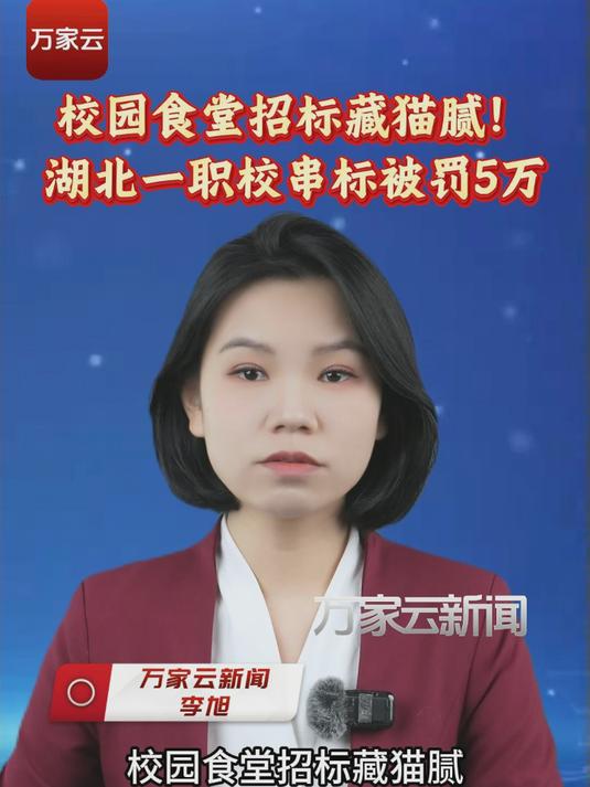 校园食堂招标藏猫腻！湖北一职校串标被罚5万